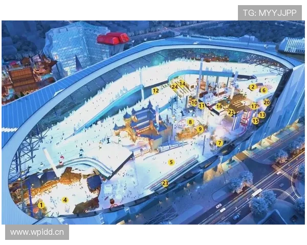 打造全球领先的综合体育服务平台