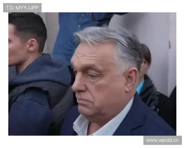 匈牙利主帅回应斯洛特言论：不应干涉我的工作